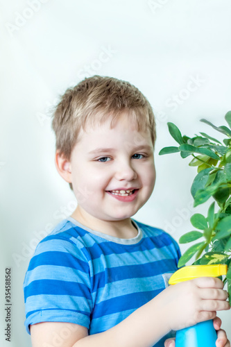 The child helps to take care of indoor plants. The boy sprays on the leaves with a bullet gun. Care of plants.