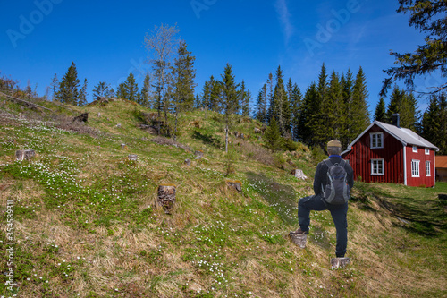 On a trip to abandoned small farms in the Velfjord forests, Northern Norway