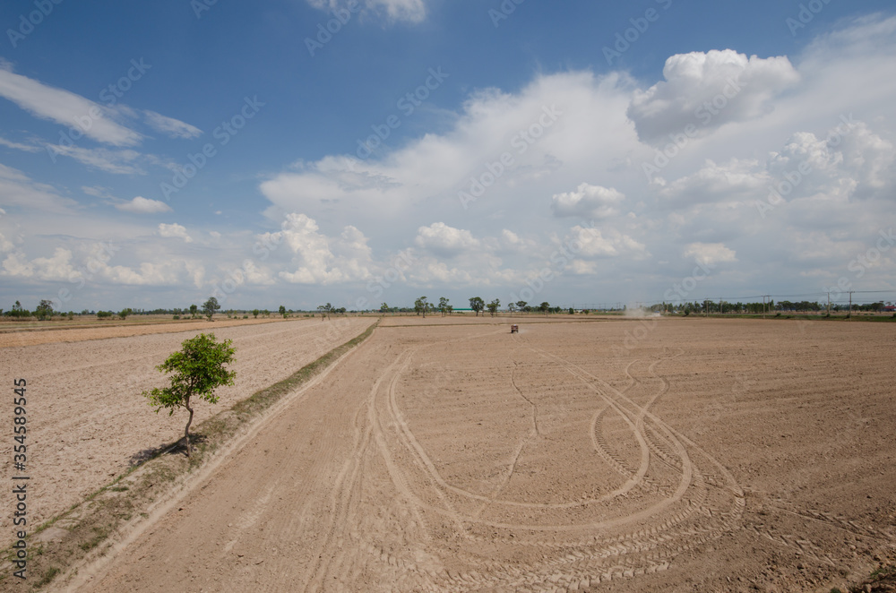 Obraz premium Thai farmer are reparation of rice field in the rainy season. The concept is that agricultural equipment is expensive. But cheap agricultural products.