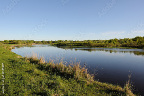 Fototapeta Naklejka Na Ścianę i Meble -  Summer. Morning landscape with a flat river, green grass and a cloudless blue sky