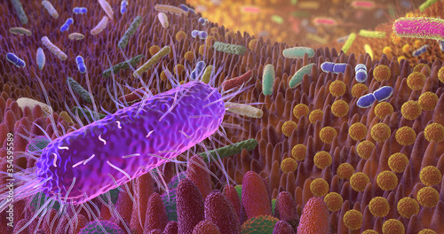 Darmflora_III_4K_Tiefenschärfe