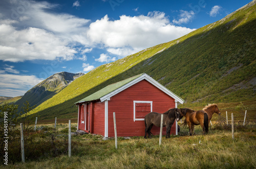 Beautiful late summer in the mountains, Isfjorden and Kavliheian valley.