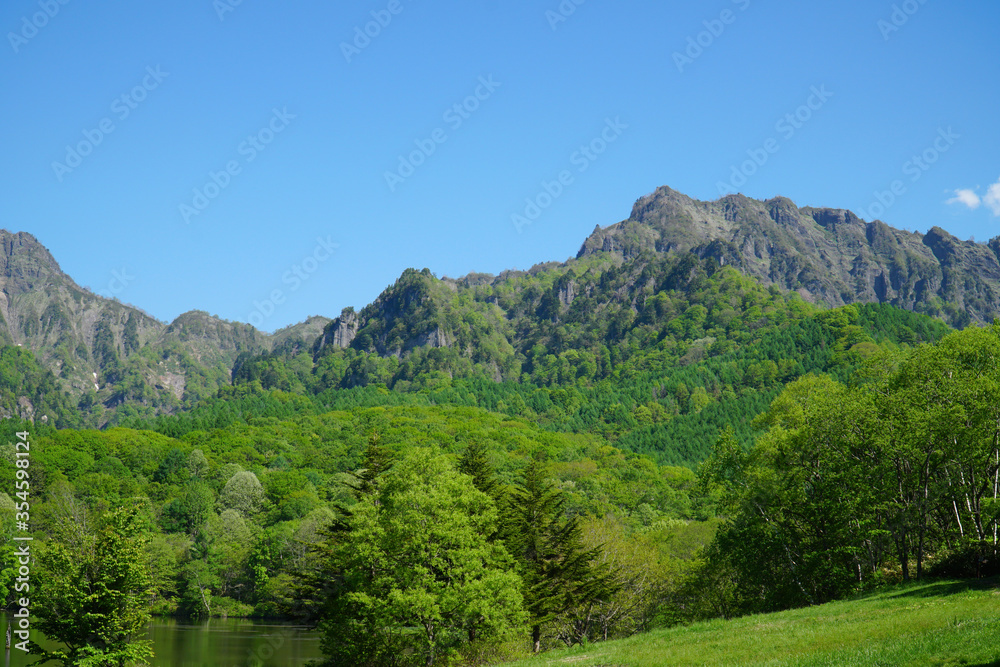 Fototapeta premium 新緑の鏡池