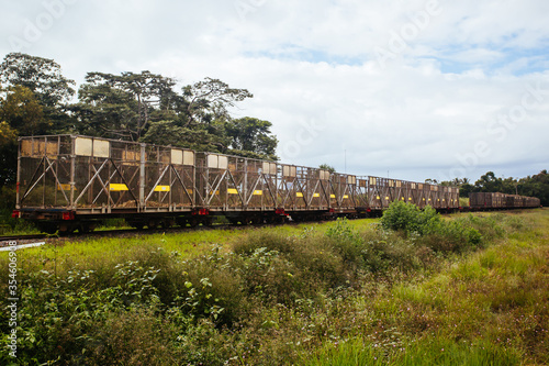 Sugar Cane Train in Queensland Australia