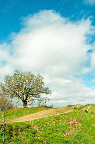 Springtime landscape in the Malvern hills