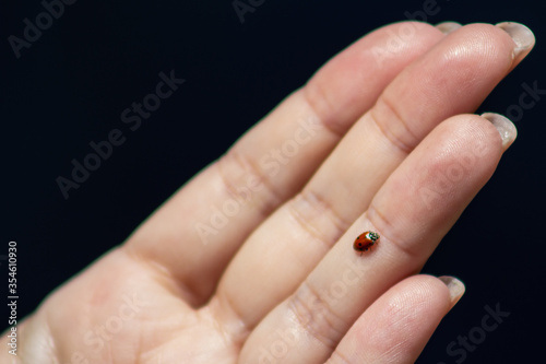 ladybug on ring finger