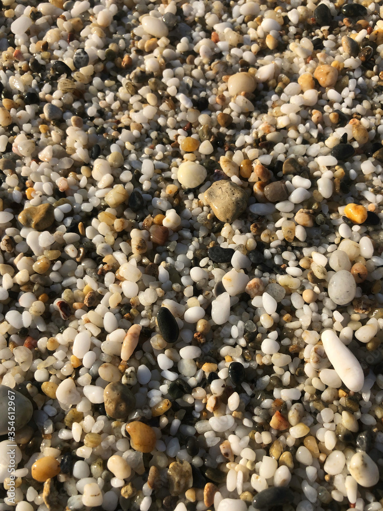 Arc of shells, beach color pebble. Red Sea