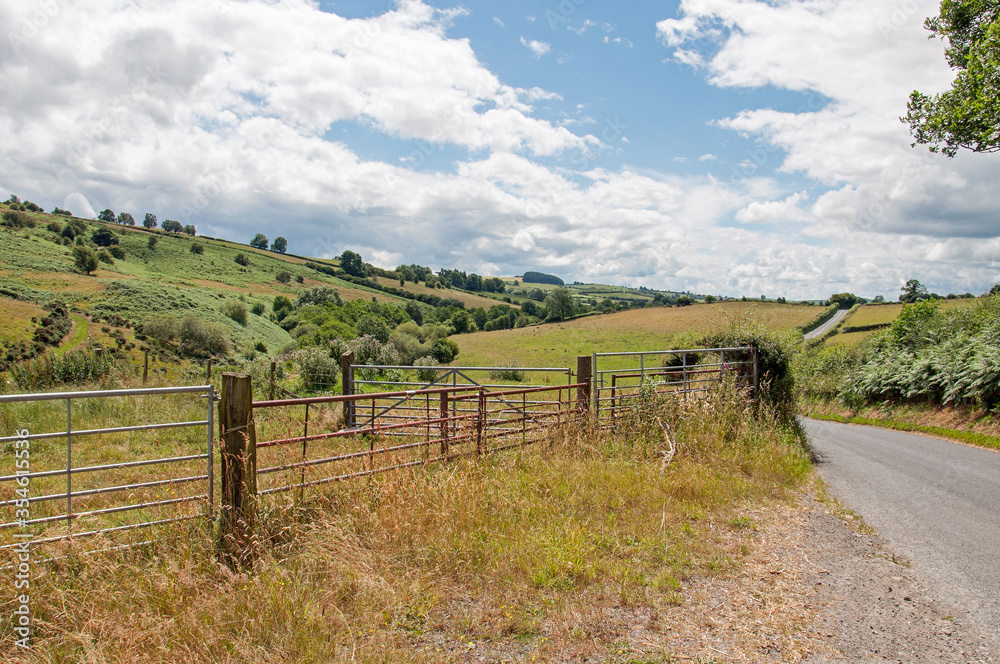 Country road in the Welsh hills in the summertime
