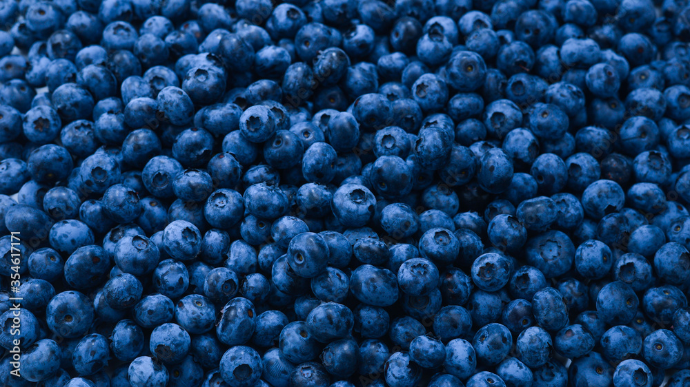 Fresh blueberry background. Texture blueberry berries close up. Fresh blueberry background. Texture blueberry berries close up.