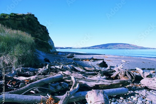 New Zealand driftwood. Vintage filter toned color image. photo