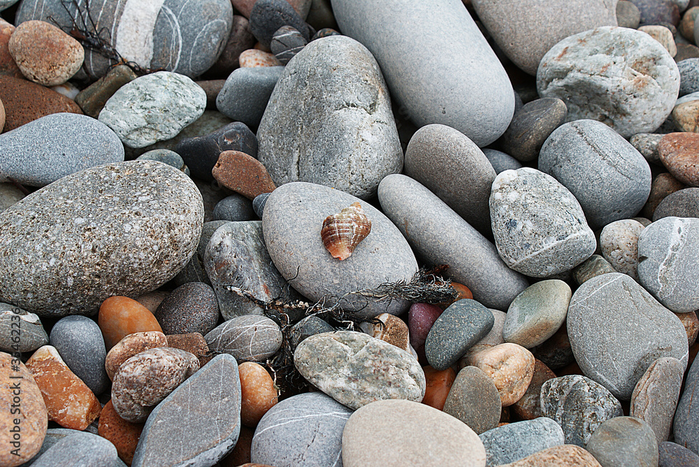 Stones by the sea, shell and pebbles on the beach, sea coast. Stones by the sea, shell and pebbles on the beach, sea coast.