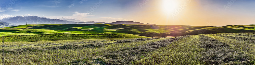 Panorama of a mountain valley in summer, aerial view. Fairytale sunset over the mountain peaks, amazing nature, summer in the mountains. Travel, tourism. beautiful background picture of nature