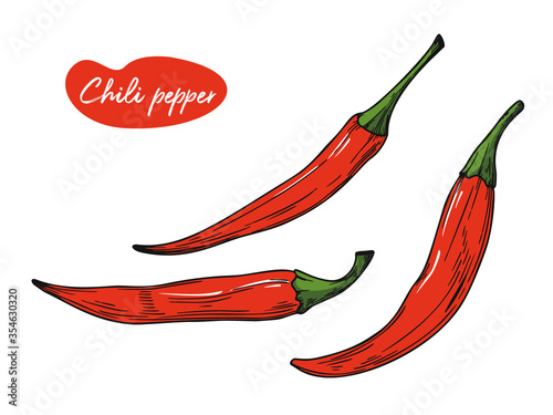 Chili pepper isolated on a white background. Vector illustration