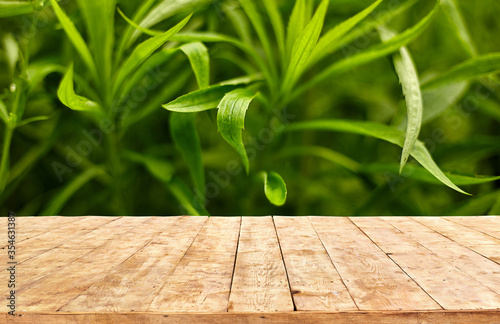Empty wooden deck table with foliage bokeh background. Ready for product display montage.