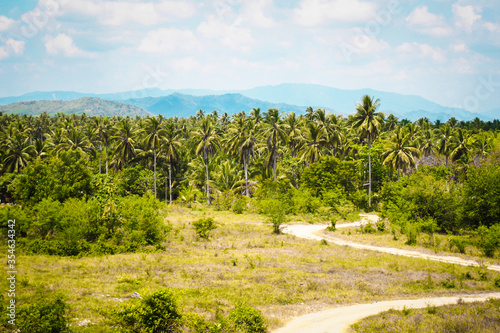 Coconut Row filled a niche in the village.  Palms stands behind an expansive field of lowland rice paddies