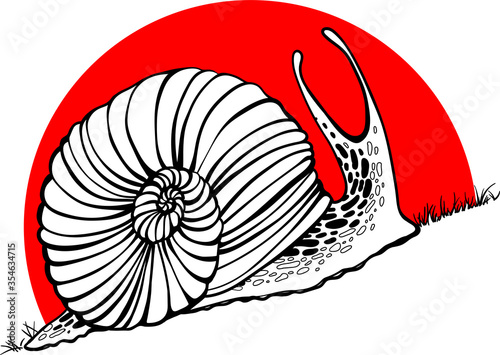 Hand drawn snails. sunset. up. Vector illustration.
