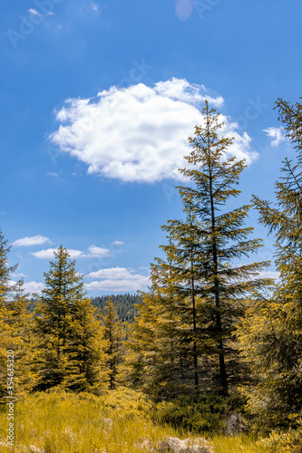 Hiking in a national park, panorama