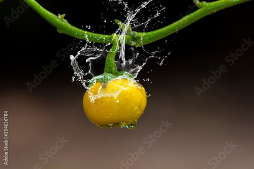 POTAto falling into water