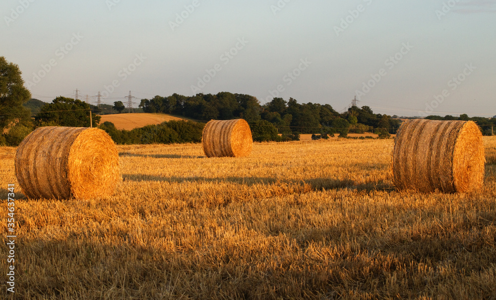 Straw bails at harvest time