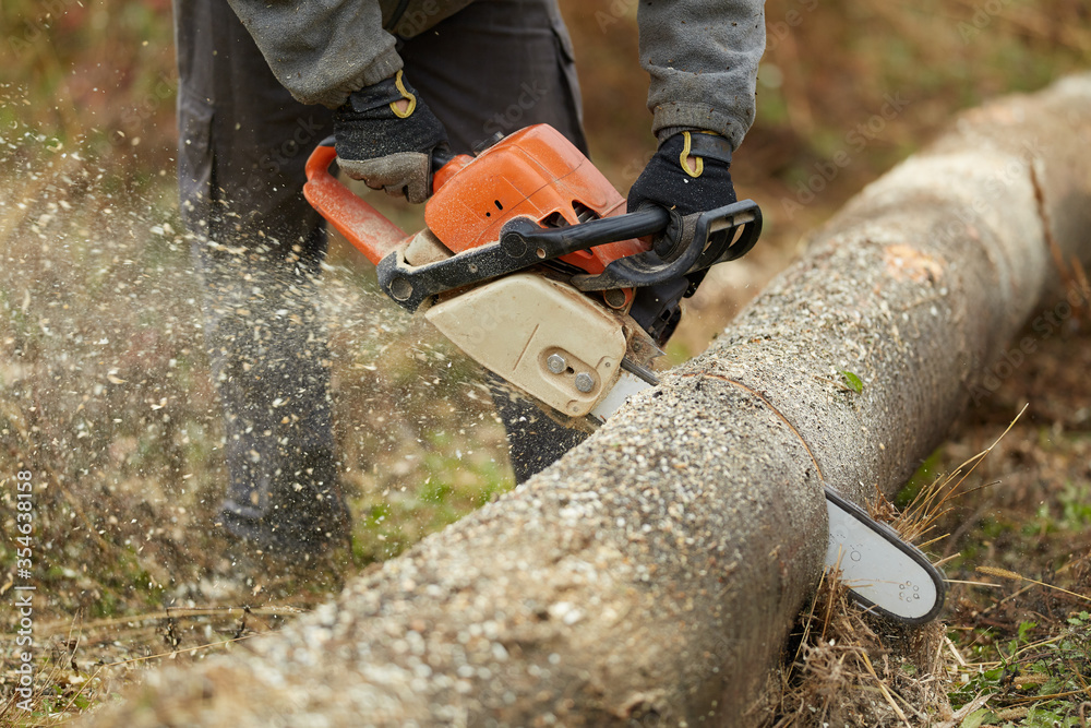 Lumberjack working with chainsaw Lumberjack working with chainsaw