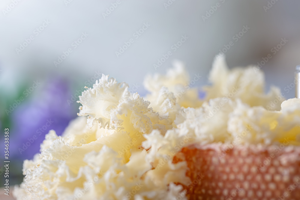 Macro of Cheese Monk Head. Closeup of rosettes Swiss cheese. Shallow depth of field. Copy space.