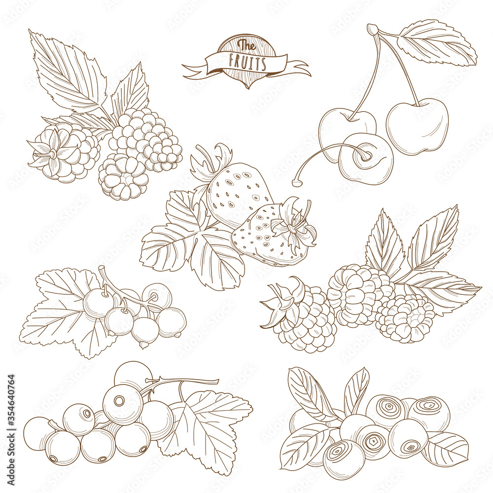 Set of Outline hand drawn berries ( blackberry, cherry, strawberry, currant, raspberry, blueberry)