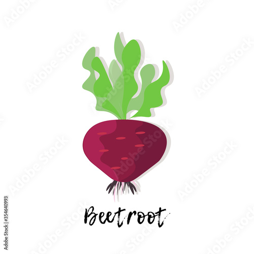 Single vegetable. Beetroot with green leaves.  Flat style vector illustration.