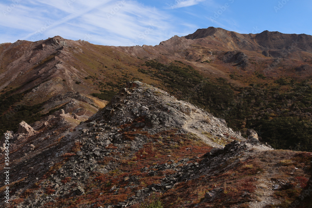 Obraz premium Denali State Park Alaska