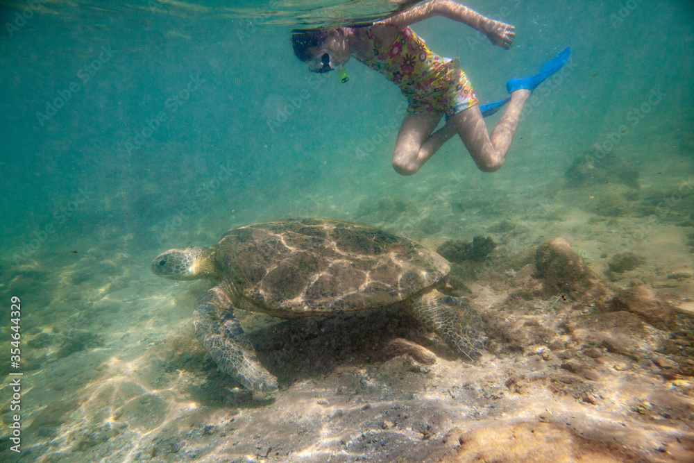 Obraz premium A girl swims with a large turtle in the sea ocean near a coral reef in Sri Lanka.