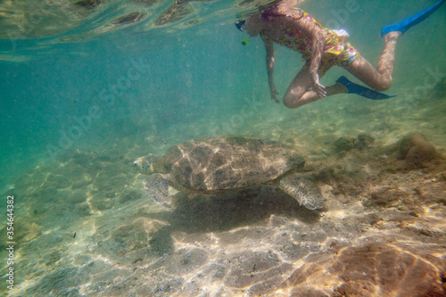 A girl swims with a large turtle in the sea ocean near a coral reef in Sri Lanka. © Oleg