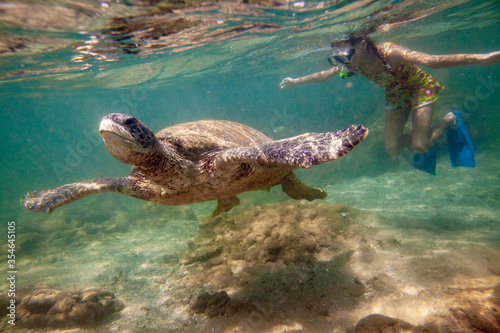 A girl swims with a large turtle in the sea ocean near a coral reef in Sri Lanka.