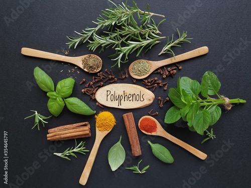 Set of various spices and fresh herbs - foods high in polyphenols. Natural sources of polyphenols: fresh green basil leaf, rosemary twigs, mint leaf, cinnamon, clove, turmeric, chili powder, etc. photo