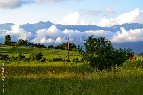 Abkhazia mountains Rizza lake mountain river photo