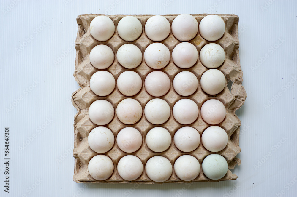 The paper tray is made from recycled paper packed with eggs. The paper tray is made from recycled paper packed with eggs.