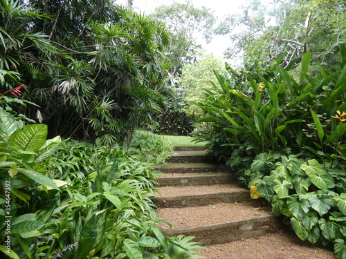 Brief Garden