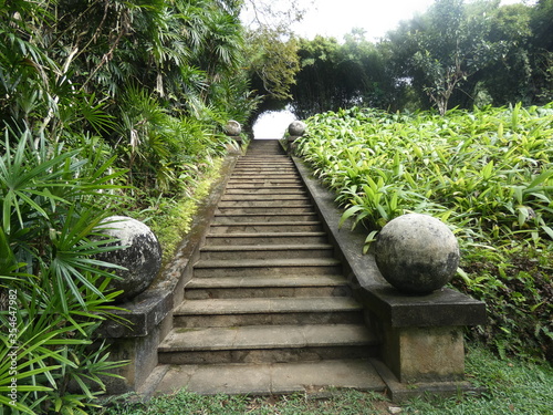 Brief Garden