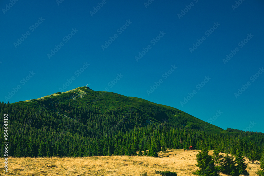 summer mountain landscape scenic view green pine trees cover of June in clear weather day time