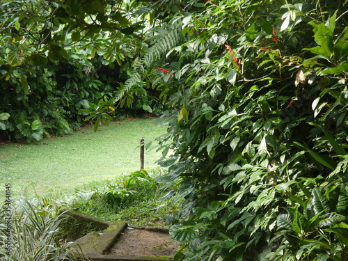 Brief Garden