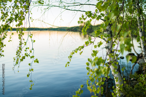 Fotografiet birch and lake