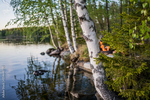 Fotografie birch and lake with kokko