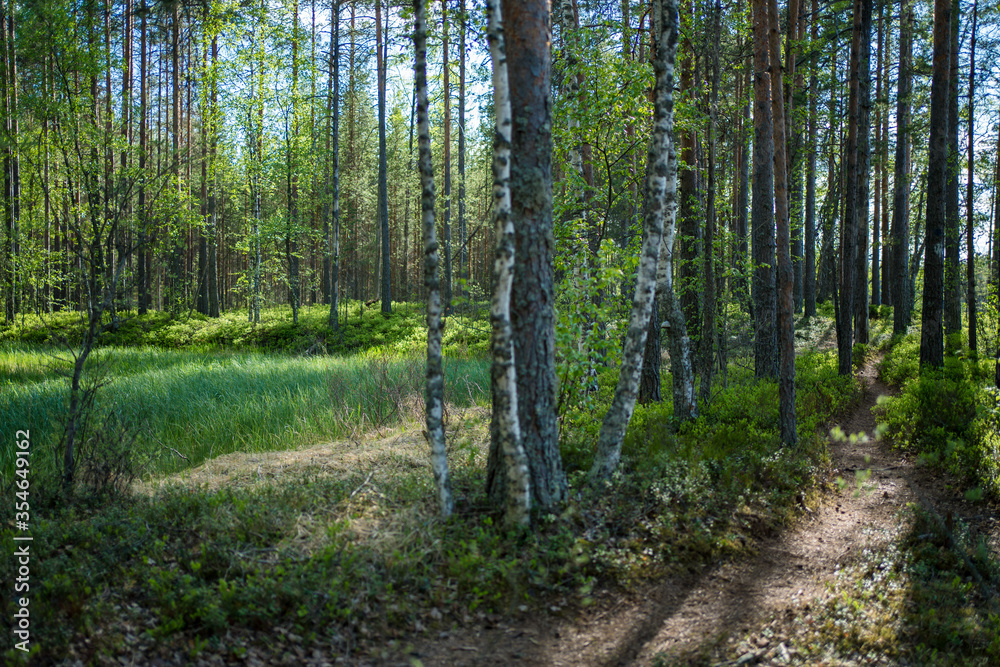 nature path nature path