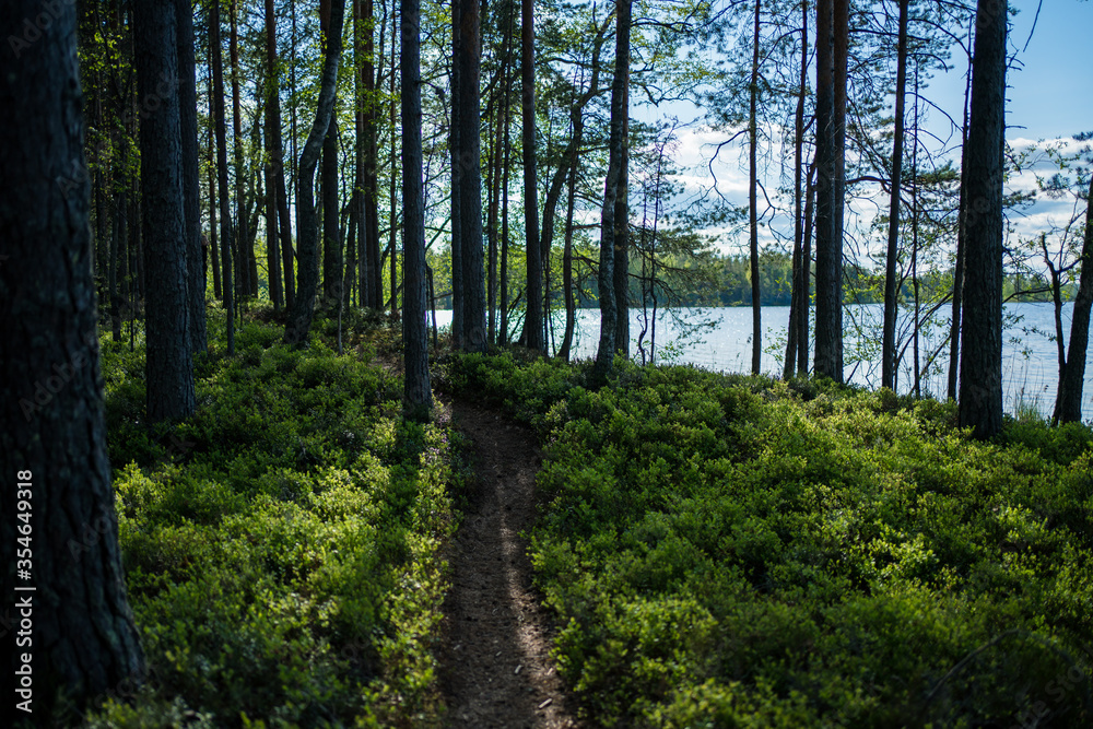 Obraz premium nature path