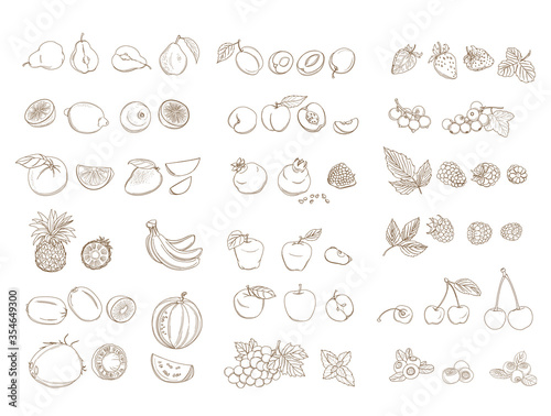 Set of organic farm fresh fruits and vegetables. Vector illustration.