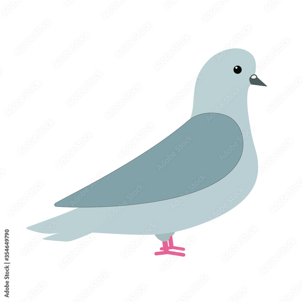 Cartoon pigeon. Dove isolated vector icon illustration. Cartoon pigeon. Dove isolated vector icon illustration.