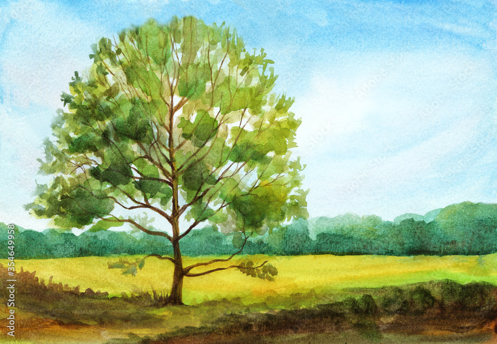 Fototapeta premium summer landscape with a tree and field. hand drawn watercolor illustration