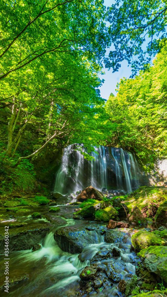 Obraz premium 達沢不動滝 新緑 縦