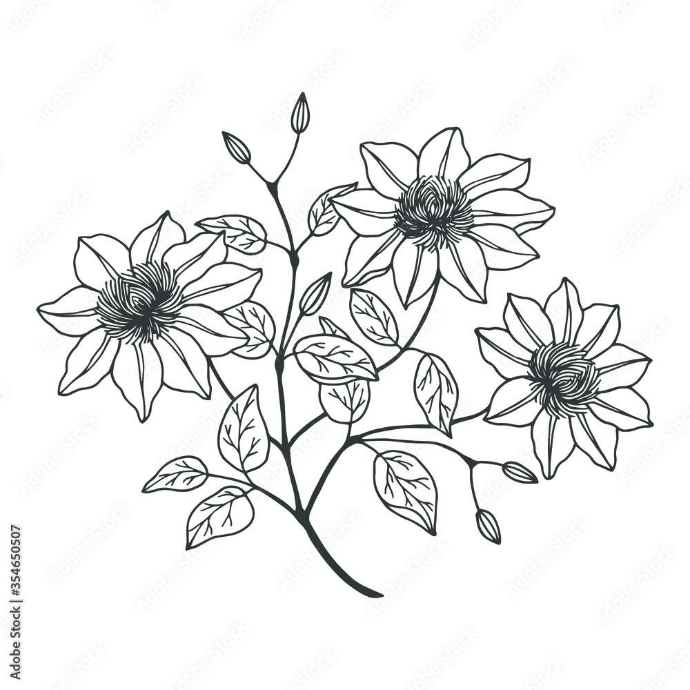 Continuous Line Drawing Set Of Plants Black Sketch of Flowers Isolated on  White Background. Flowers One Line Illustration. Minimalist Prints Set.  Vector EPS 10 22783098 Vector Art at Vecteezy