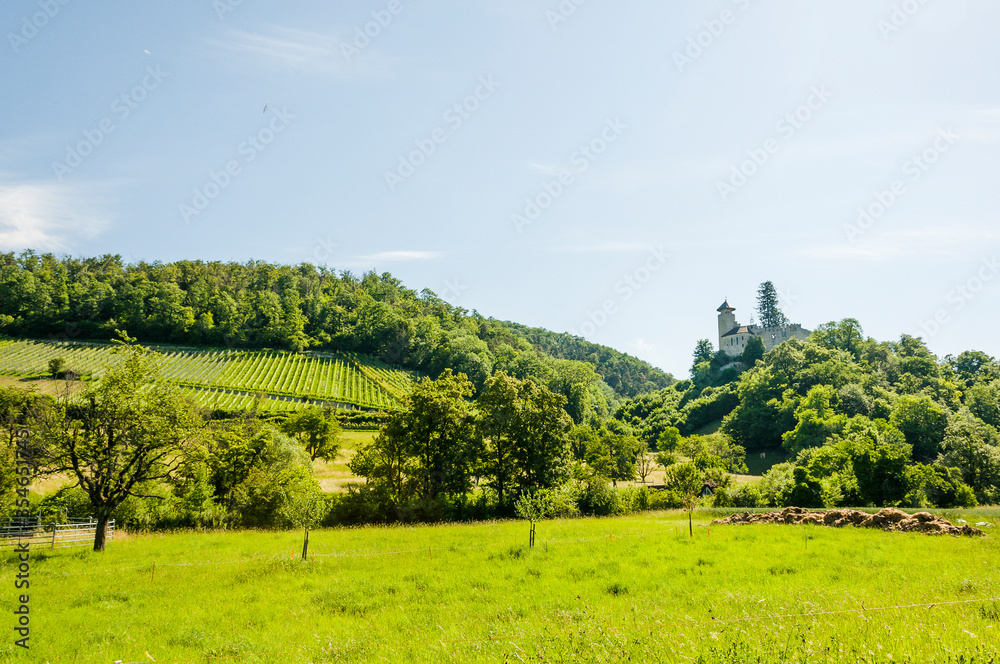 Obraz premium Arlesheim, Schloss Birseck, Birseck, Burg, Ruine, Eremitage, Dornach, Spazierweg, Wanderweg, Landwirtschaft, Obstbäume, Weinberge, Baselland, Frühling, Sommer, Schweiz