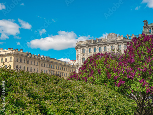 Summer city landscape with blooming trees on a background of urban architecture