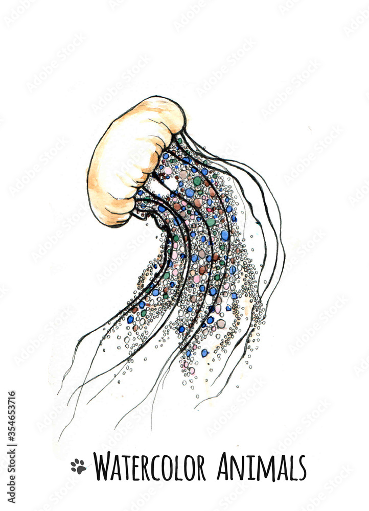 Fototapeta premium Watercolor jellyfish on the white background